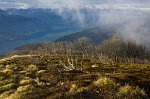 20-VEGETAZIONE SUI PENDII DEL MONTE MUGGIO